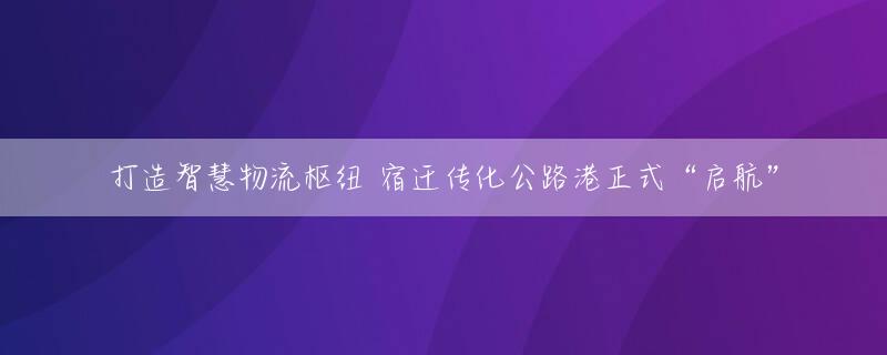 打造智慧物流枢纽 宿迁传化公路港正式“启航”